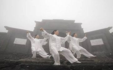 练太极的心得体会6篇