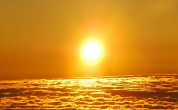 语言《太阳》教案8篇