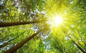 喊太阳小班教案5篇