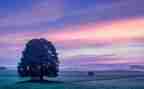 作文我的那一片天空600字作文6篇