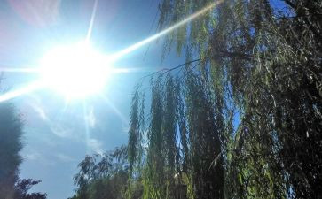 天气预报大班教案7篇