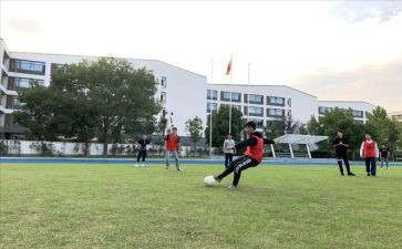体卫艺年度工作计划7篇