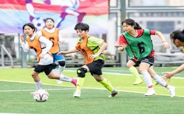 小学体卫月工作计划推荐5篇