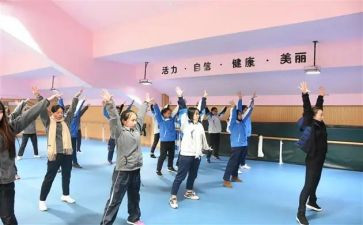 体卫艺工作总结2023模板8篇