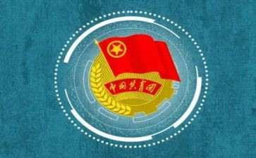 团代表的心得体会模板8篇