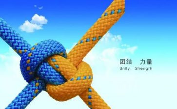 抓团结协作心得体会8篇