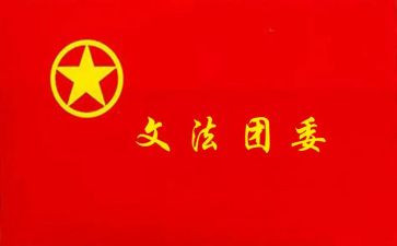 初中团委工作总结范文8篇