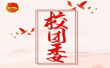 院团委工作计划个人最新6篇