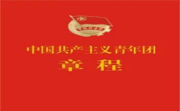 团章的心得8篇