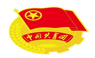 团支部上年度工作总结6篇
