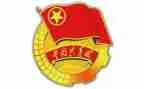 2024年团支书述职报告7篇