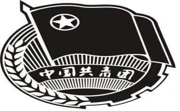 团组织工作汇报材料8篇