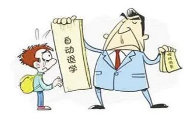 退学团申请书范文6篇