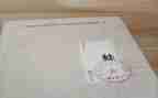 《蛙》读后感100字精选7篇