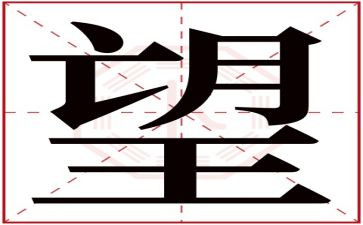 《望》六年级作文500字最新8篇