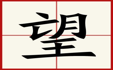 《望》六年级作文500字精选7篇
