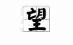 我盼望作文800字7篇