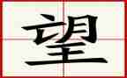 《望》六年级作文500字精选7篇