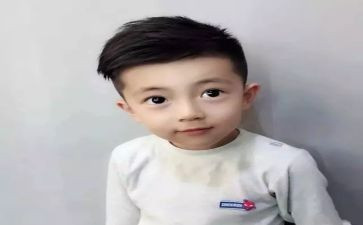 青蛀王子的读后感参考5篇