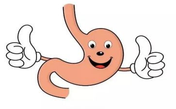 幼儿胃教案5篇