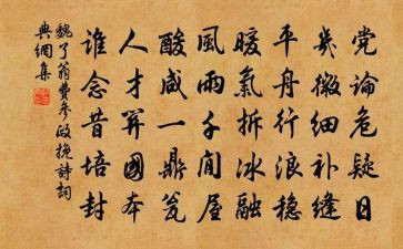对魏了翁事迹的心得体会最新7篇