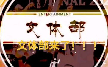 文体者工作总结2023精选7篇