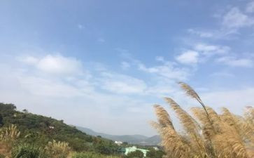 幼儿园《我的一天》教案6篇
