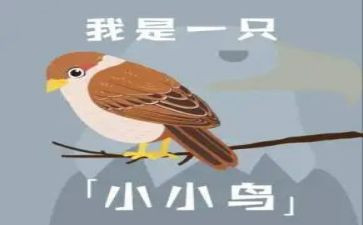 我小鸟的作文最新6篇