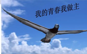 今天我做主作文7篇