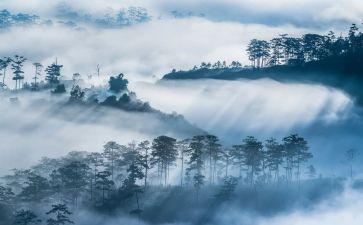 大班语言雾的教案优秀7篇