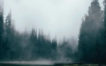 雾的优秀作文优质7篇