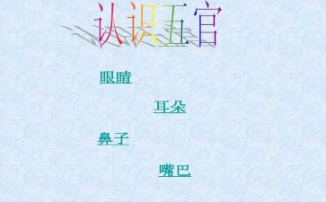 小班五官教案7篇