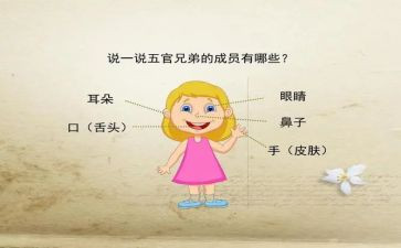 五官心得体会5篇