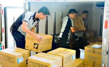 物流公司个人总结优质5篇