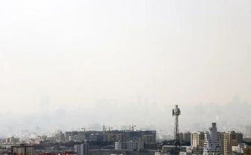 对环境污染的调查报告优秀6篇