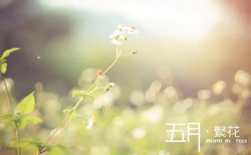 公司五月份工作计划8篇