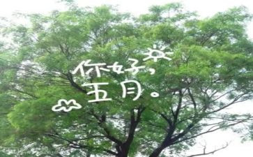 红五月活动策划7篇