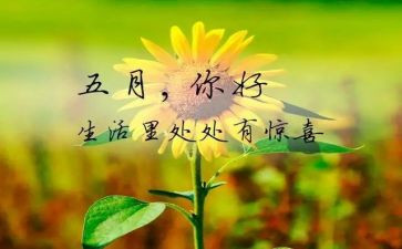 幼儿园五月工作总结范文6篇