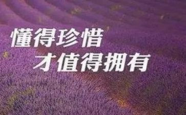 我珍惜的人作文500字优秀6篇