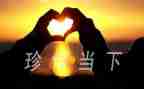 珍惜水资源作文450字7篇
