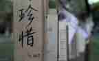 作文《珍惜》800字5篇