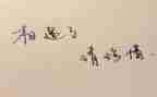 珍惜青春的演讲稿600字5篇