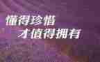 对物要爱惜的演讲稿5篇