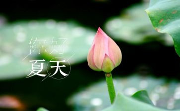 夏洛的网读后感精选6篇