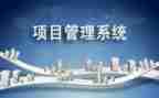 项目类的简历模板5篇