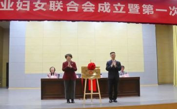 乡镇妇联2023年工作计划7篇