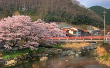 五柳先生传教案6篇