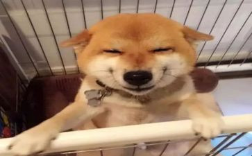 我与