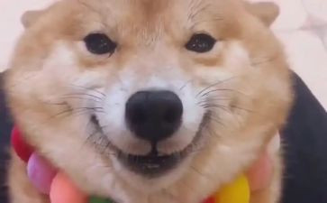 幼儿园小班语言笑教案及反思8篇