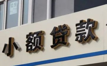 小贷公司工作总结5篇